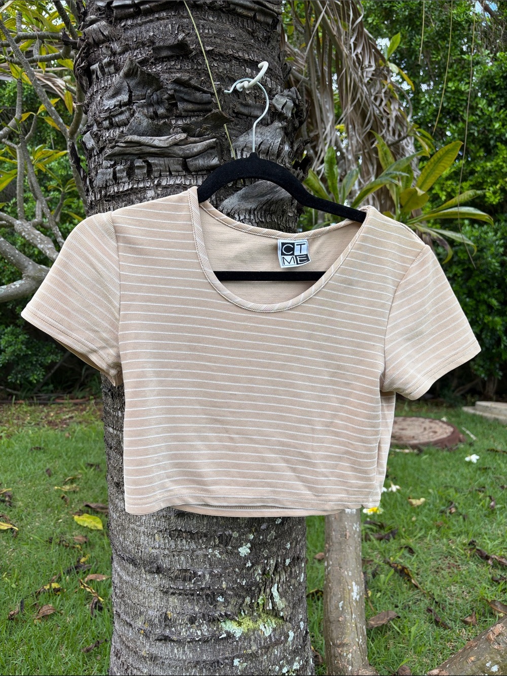 Vintage Beige & White Striped Cropped Tee